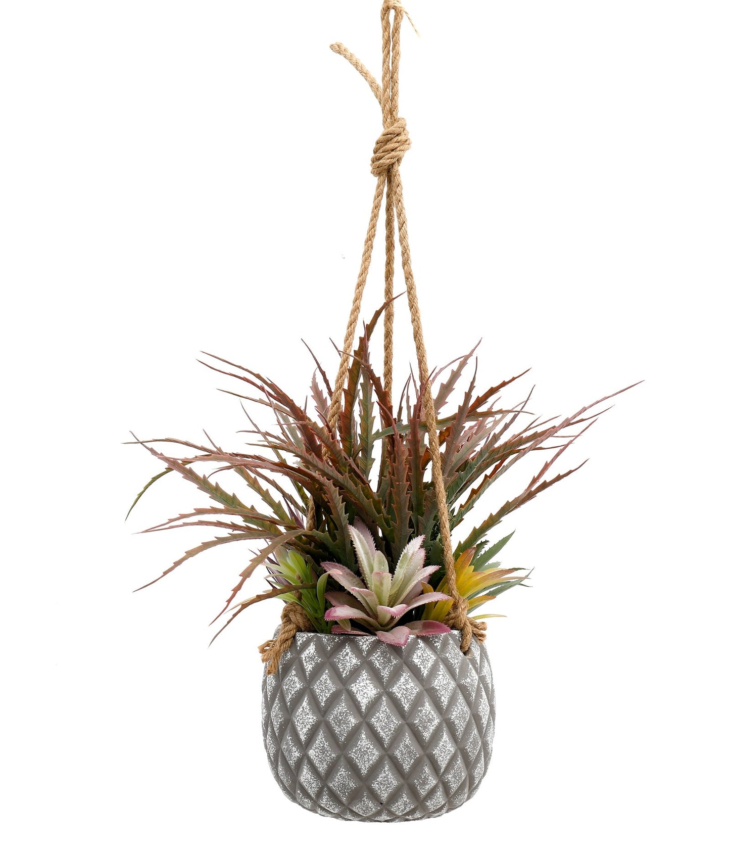 Hanging Succulents in Lattice Design Large Grey Pot