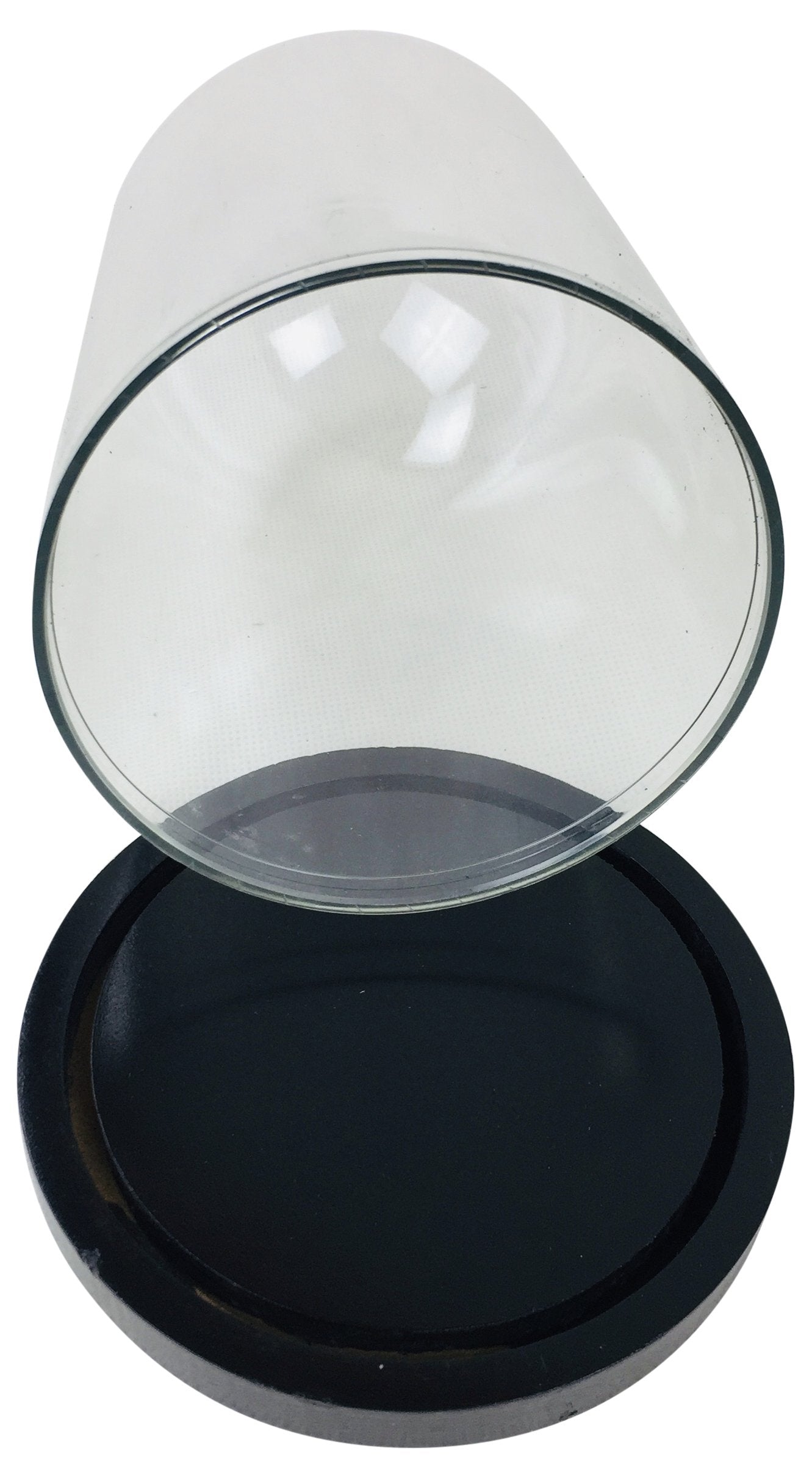 Plastic Display Dome 16.5cm