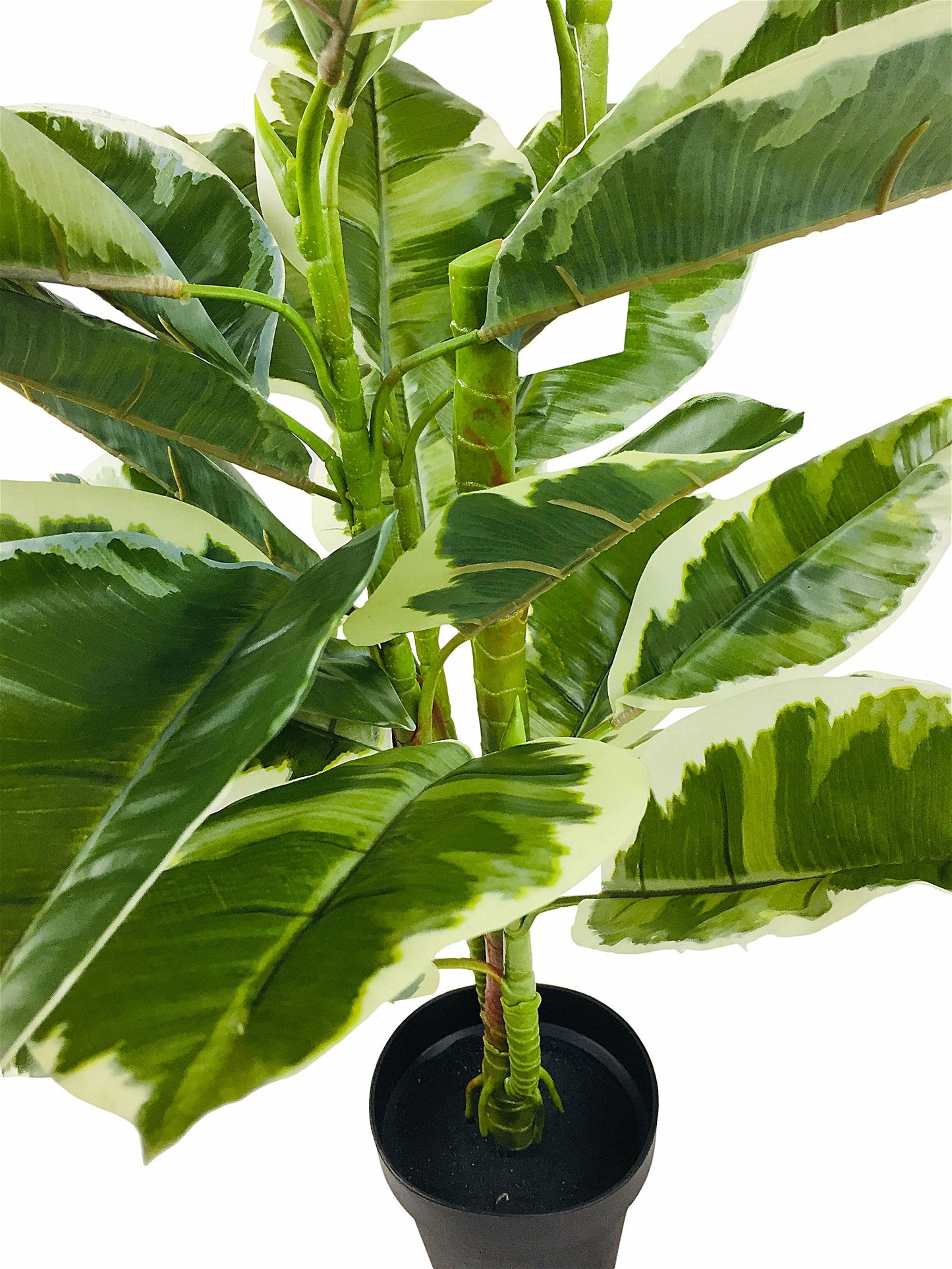 Artificial Large 110cm Rubber Ficus