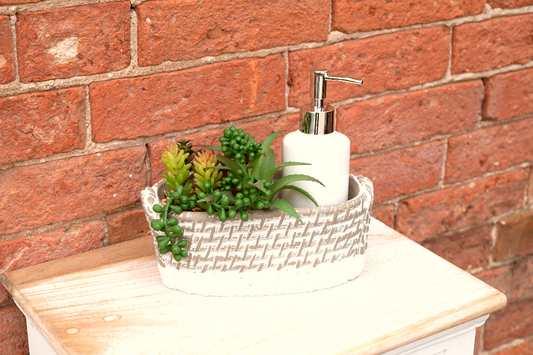 Soap Dispenser Tray with Succulent