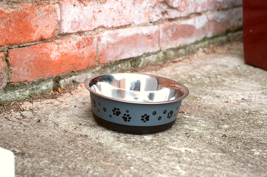 Pet Bowl 1.2 Litre In Cool Grey