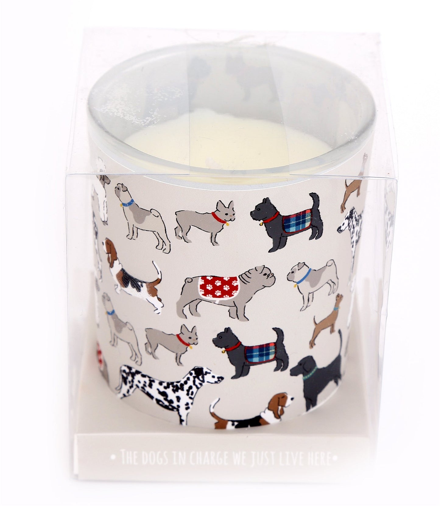 Pet Dog Design Candle Pot 17cm