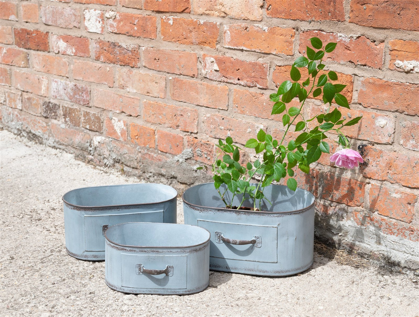 Three Oval Planters with Handles