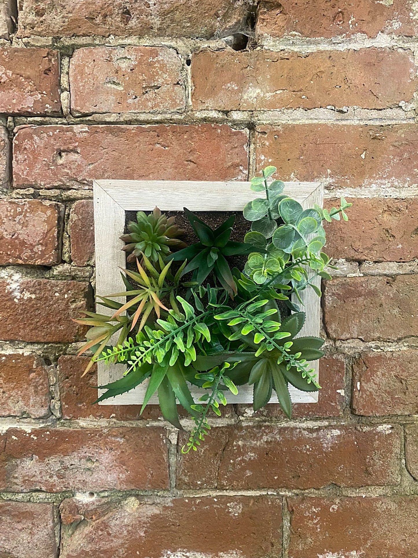 Artificial Succulents In Square Wooden Frame