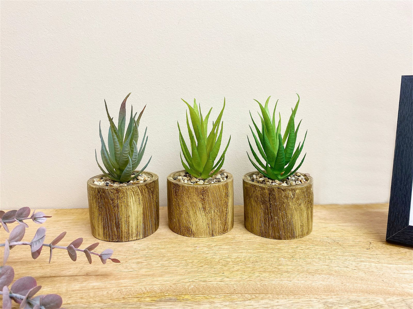 Set of Three Bark Effect Pot and Succulent