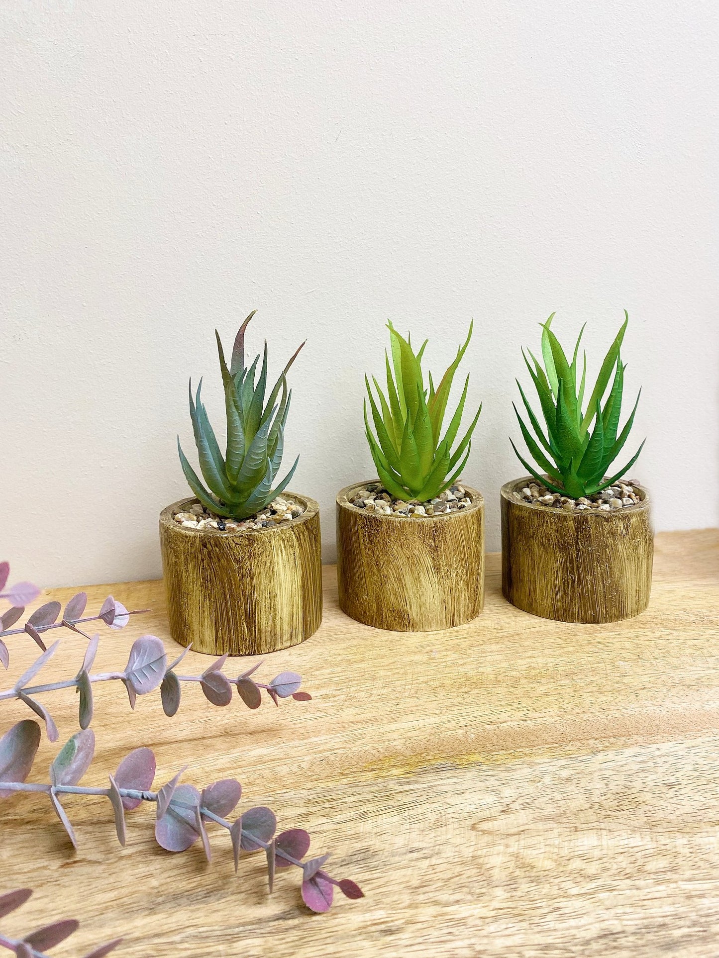 Set of Three Bark Effect Pot and Succulent