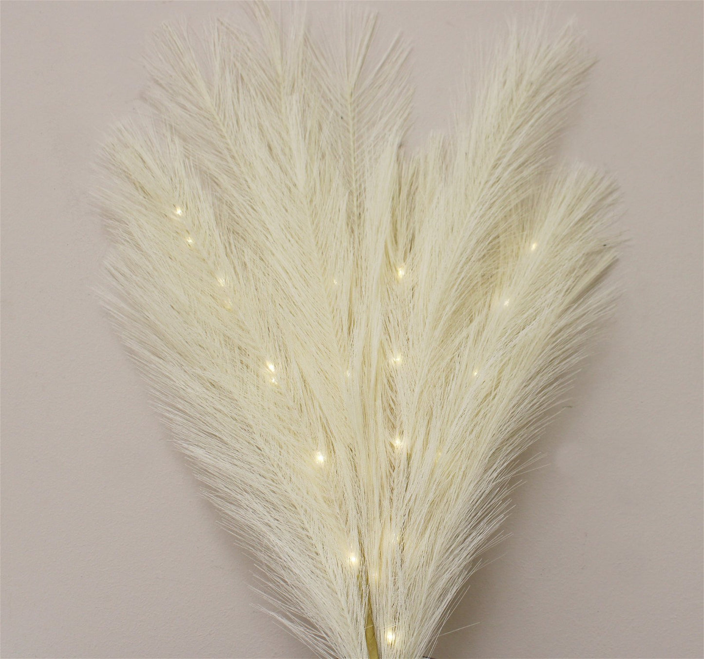 Set of Five Cream Led Pampas Grass Stems