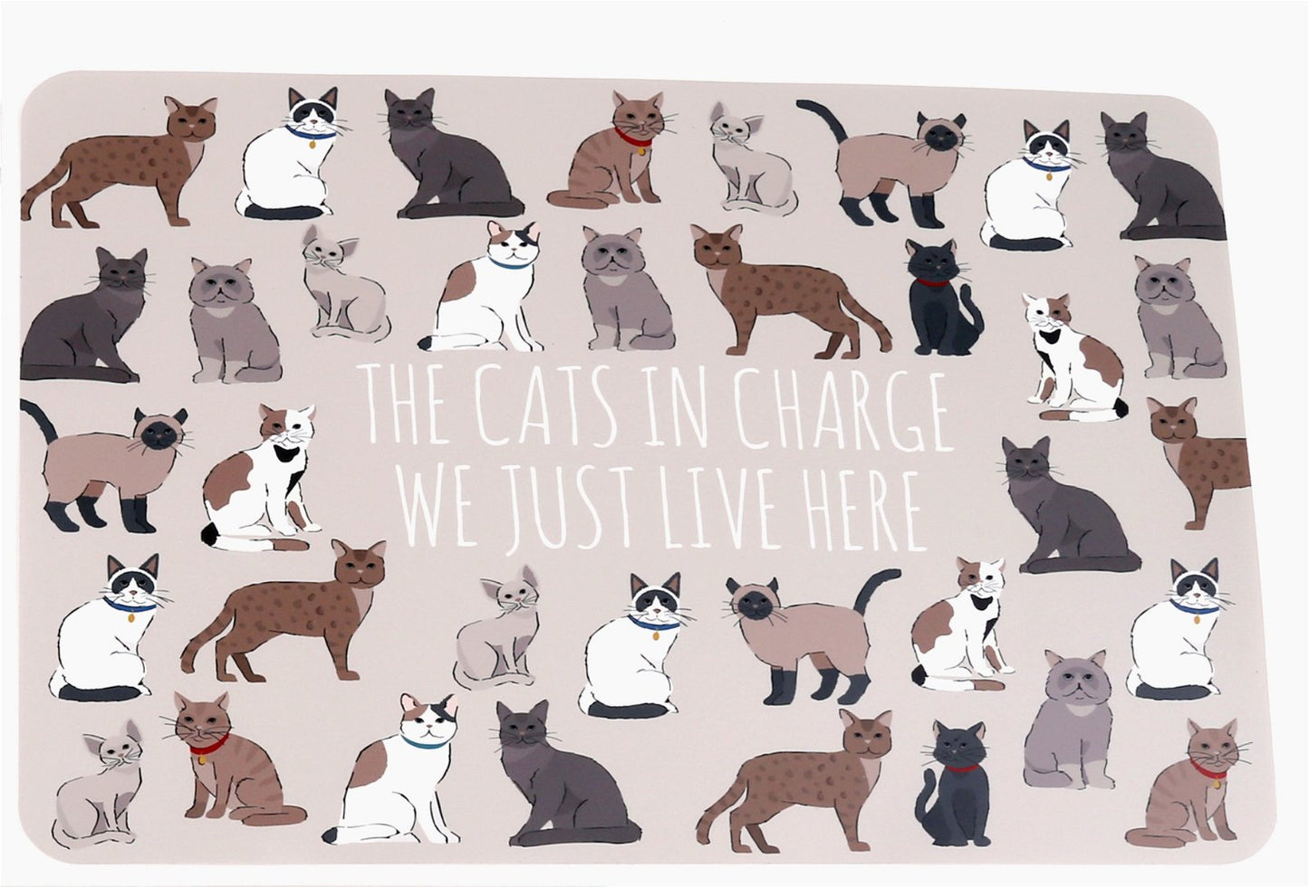 Wipeable Cat Themed Placemat 30x45cm