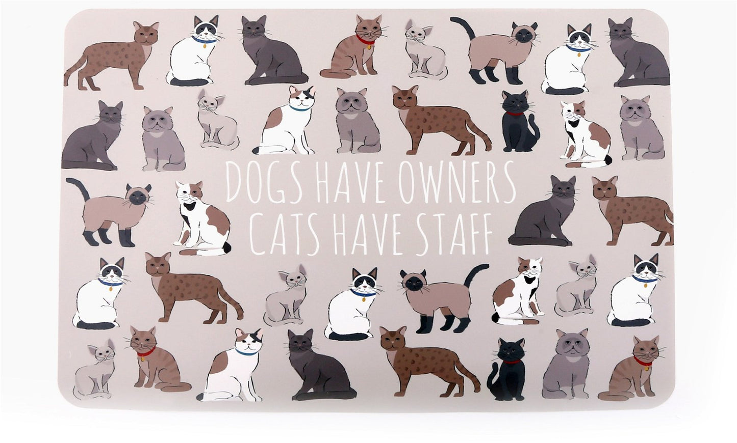 Wipeable Cat Themed Placemat 30x45cm