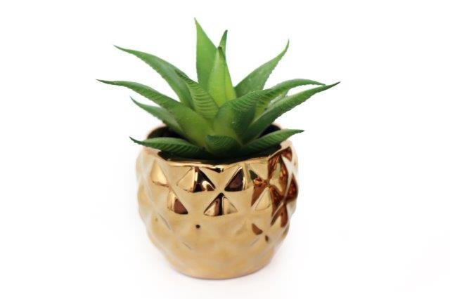 Miniature Succulent In Gold Geometric Pot