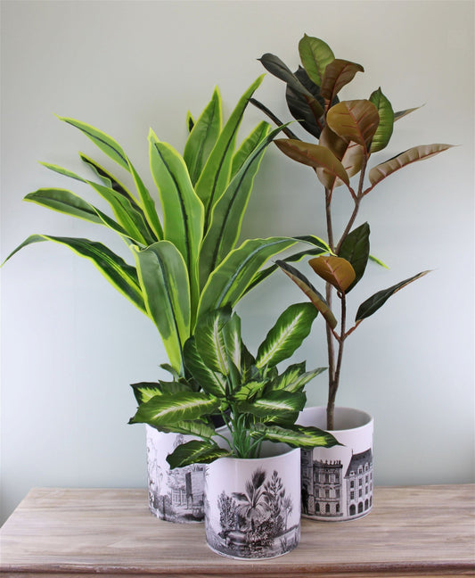 Set of 3 Monochrome Ceramic Large Planters