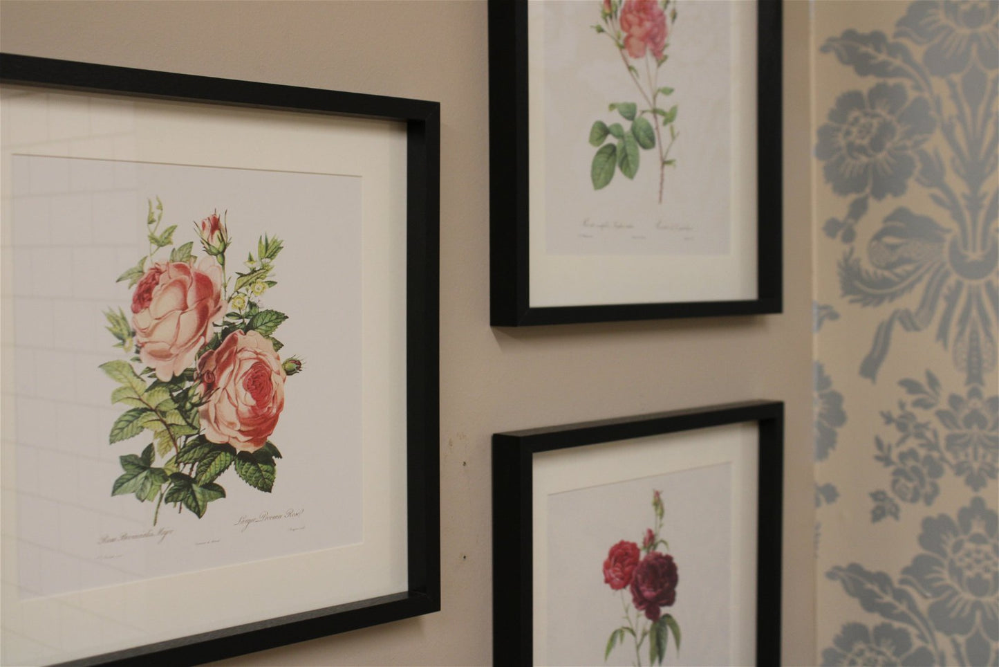 Set of Three Pink Rose Prints in Frames