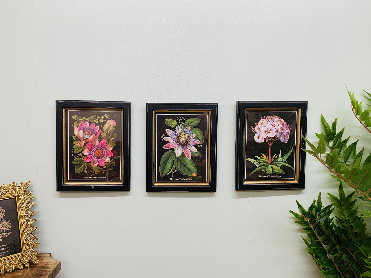 Botanical Framed Print 25cm